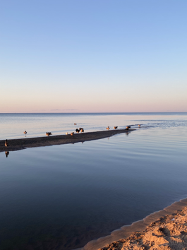 5 beaches to visit in Ontario, Canada