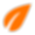 Hoja Naranja Praderas de Arraijan