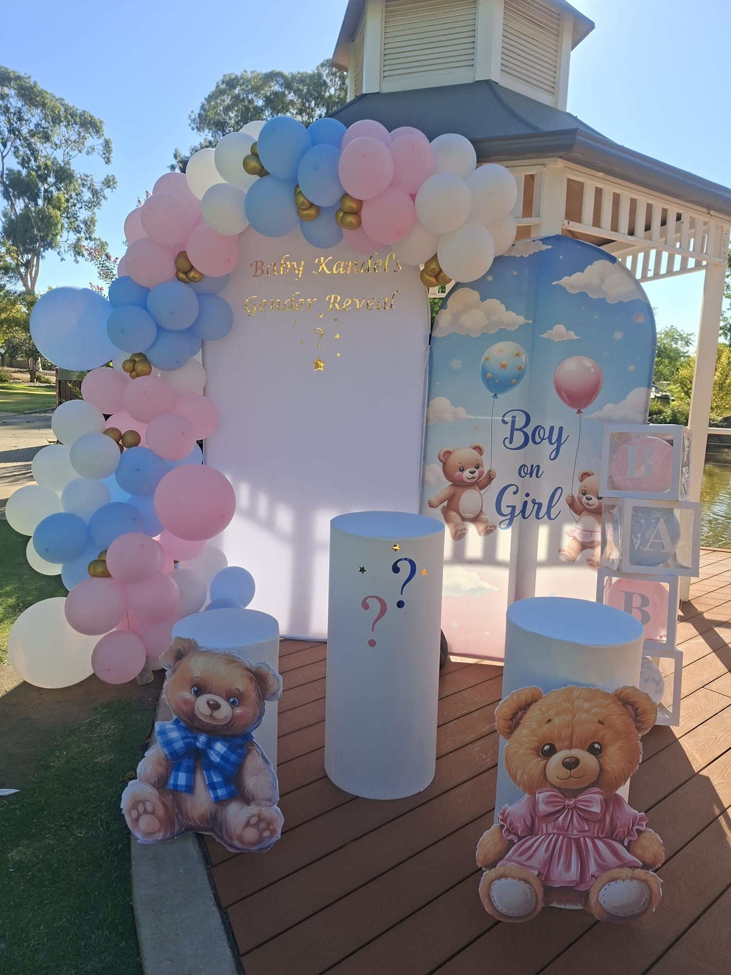 Gender Reveal amazing setup