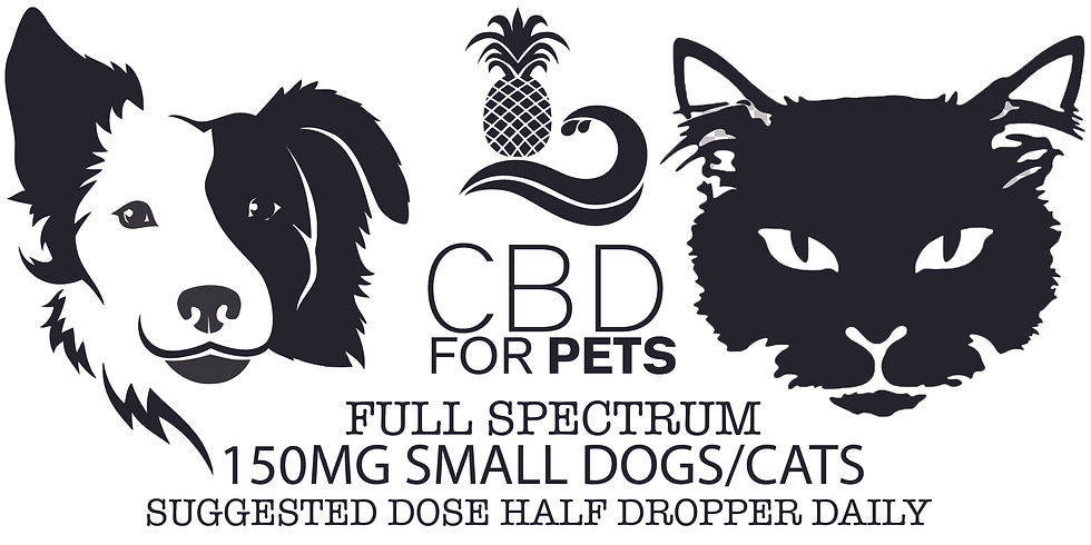 Thumbnail: Full Spectrum CBD Drops for Small Dogs and Cats 125mg - 600MG