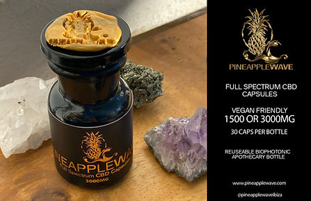 PW 2021 CAPSULE ADVERT.jpg