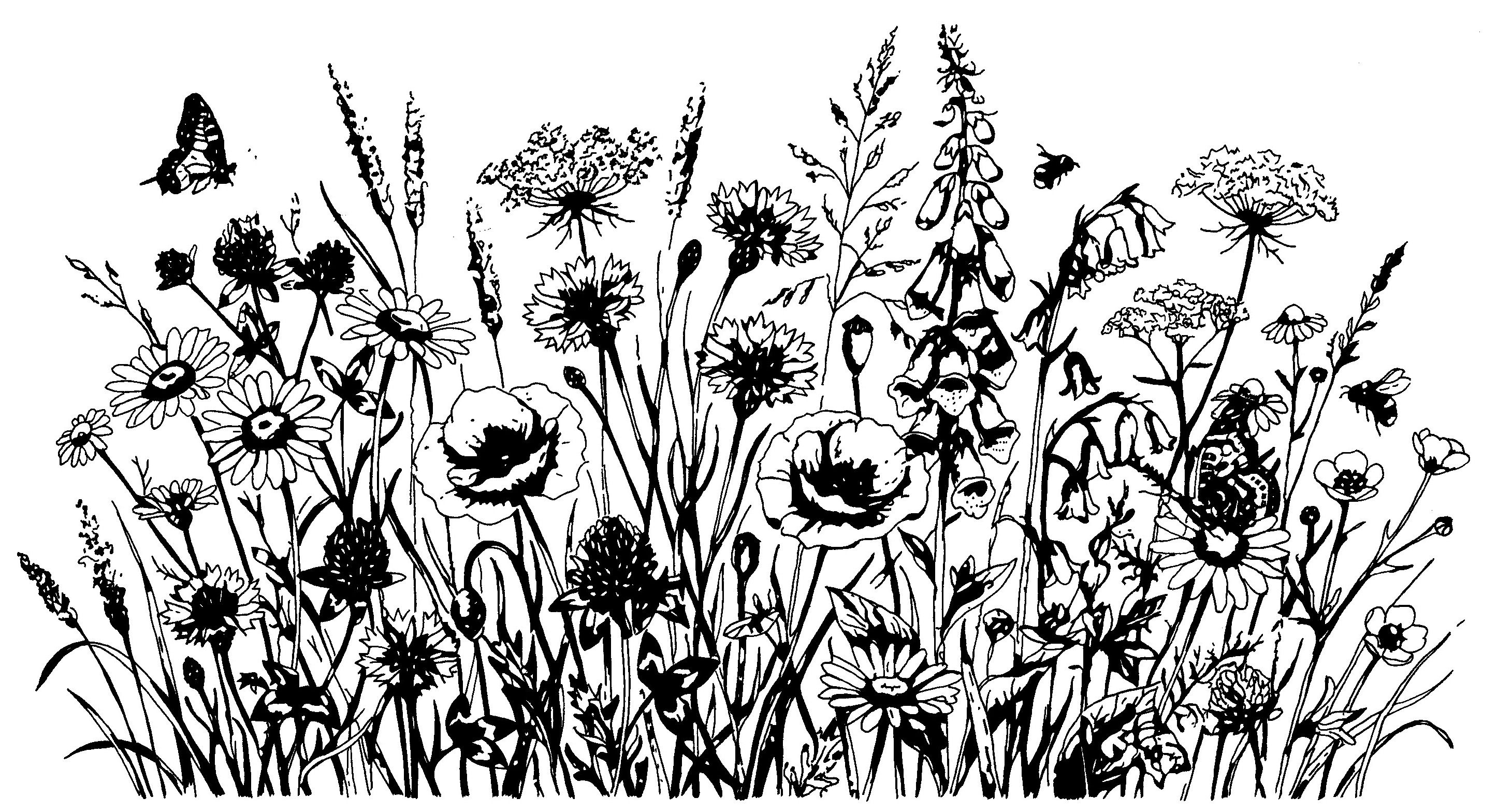 Wild Flowers - Print