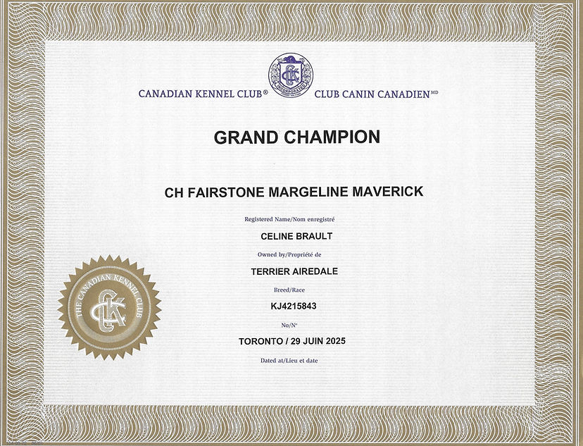 Maverick TITRE DE GRAND CHAMPION.jpeg