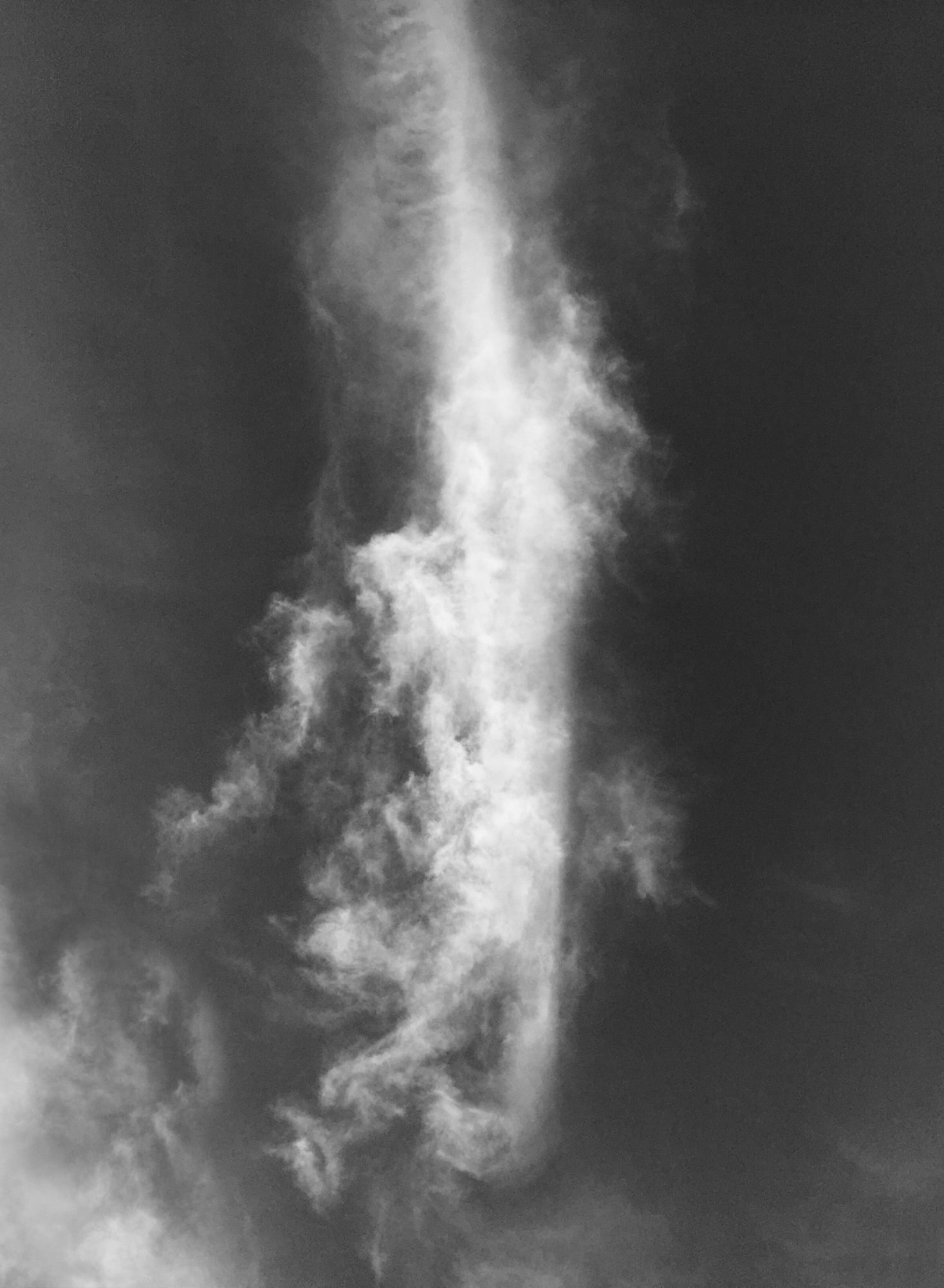 Saxophone