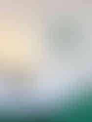 green bedroom wall art