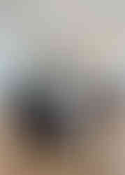 finished dining room featuring the original arched window