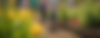 Copy of -post-ai-image-1823_edited.png
