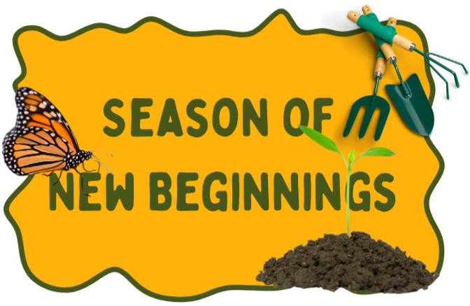 A Season of New Beginnings 🌱