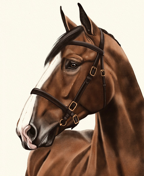 Irish Hunter illustrative portrait