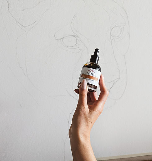 Ink & pencil drawings - Dominique Laurine