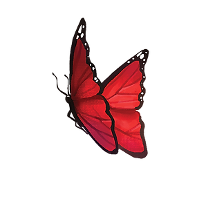 red_butterfly.png