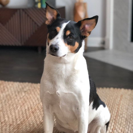 Riley