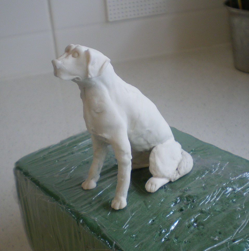 step 5