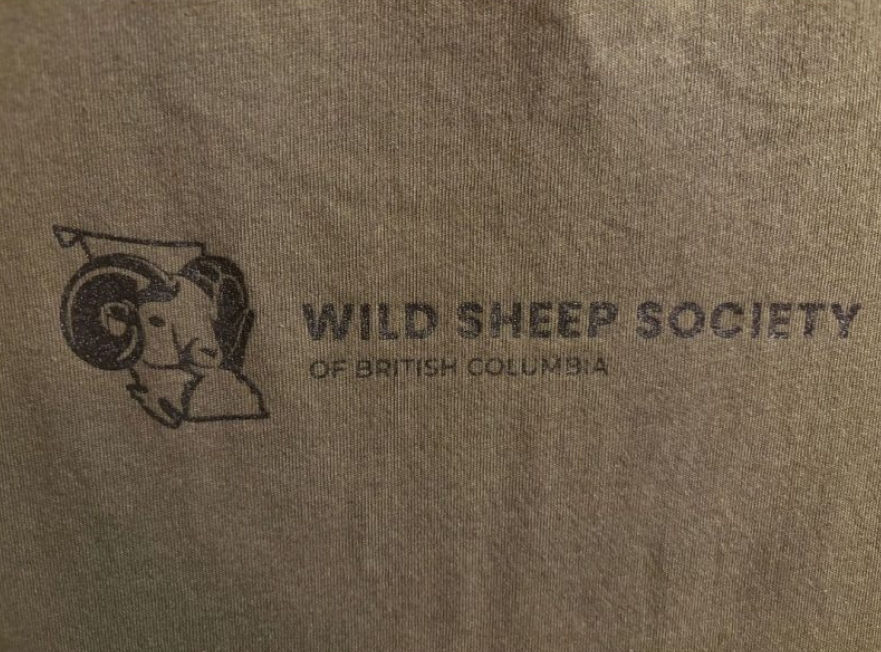 Thumbnail: DALLS SHEEP SHIRT △