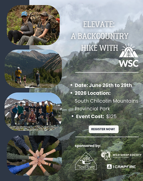 ELEVATE a BACKCOUNTRY HIKE.pdf (1).png