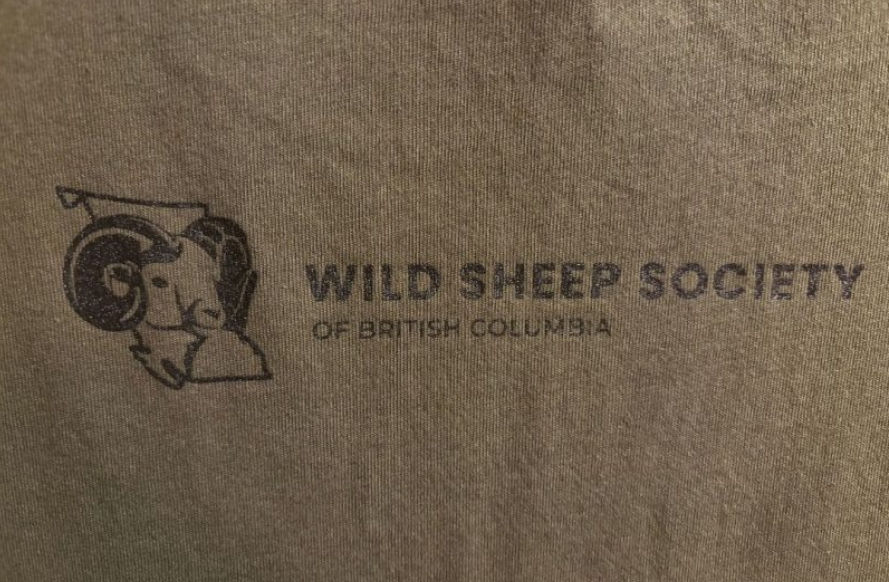 Thumbnail: ROCKY MOUNTAIN BIGHORN SHIRT ⬯