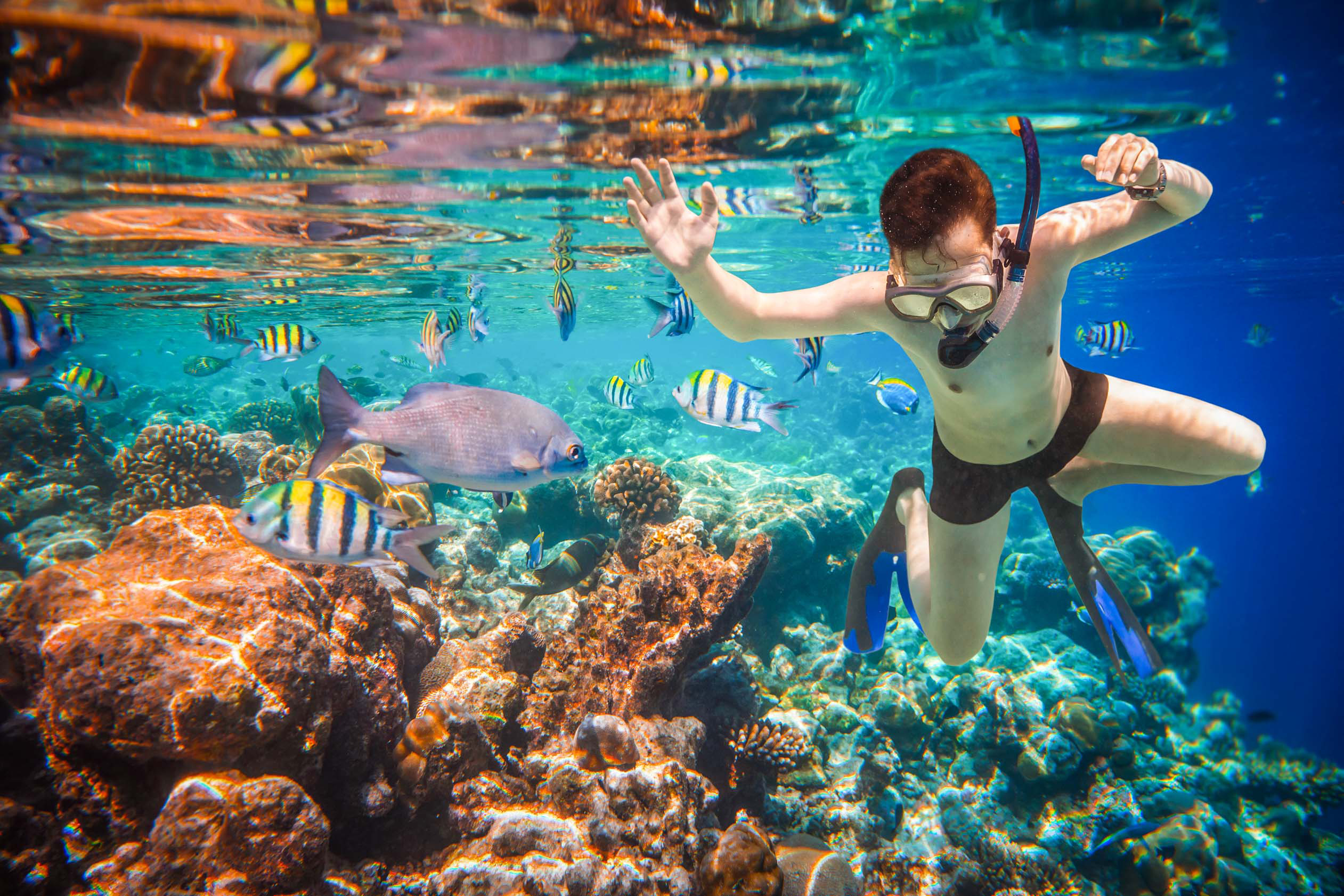 Snorkel Report - gjvvwna