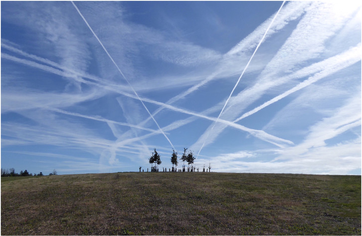Busy skies at Hyde Hall