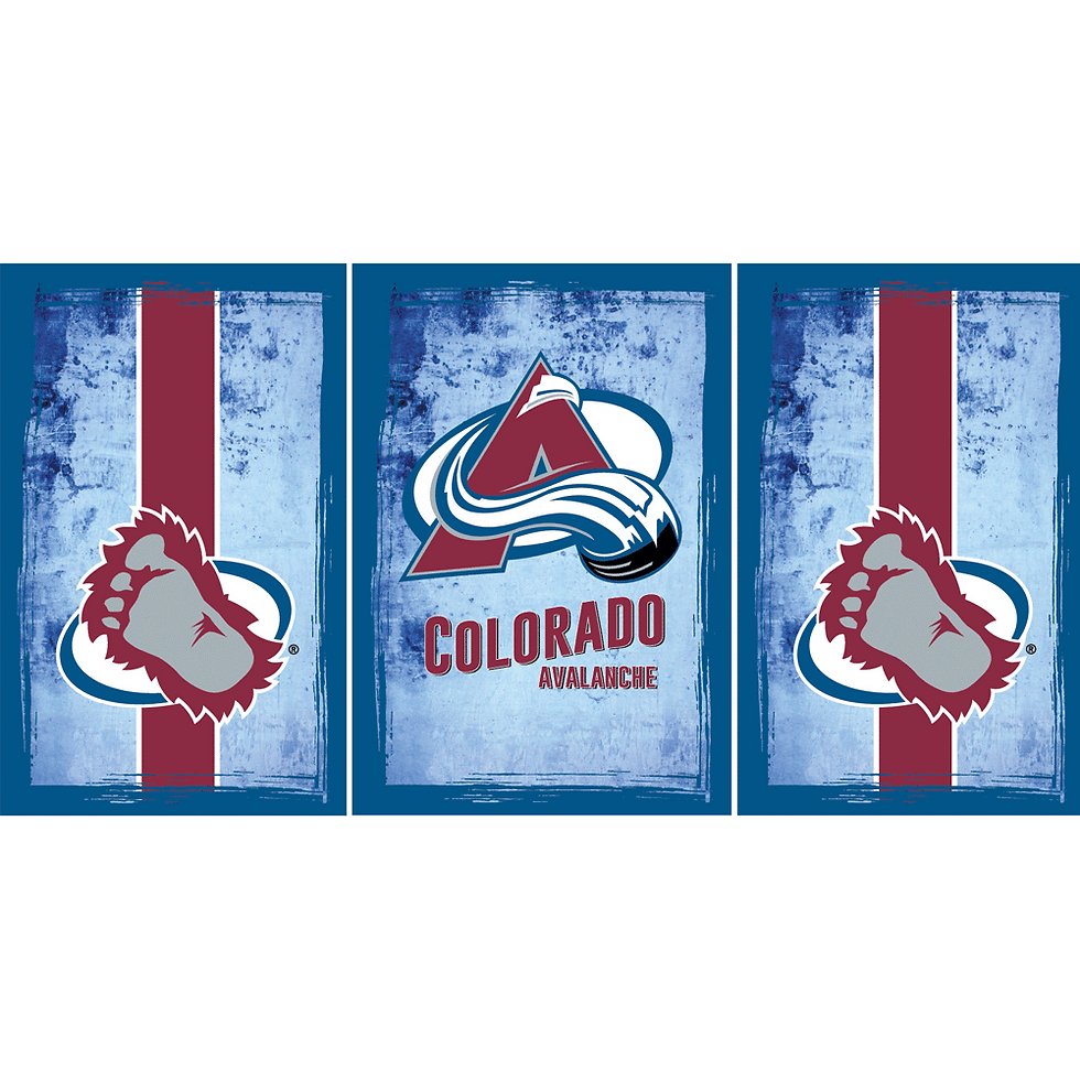 Colorado Avalanche Fridge