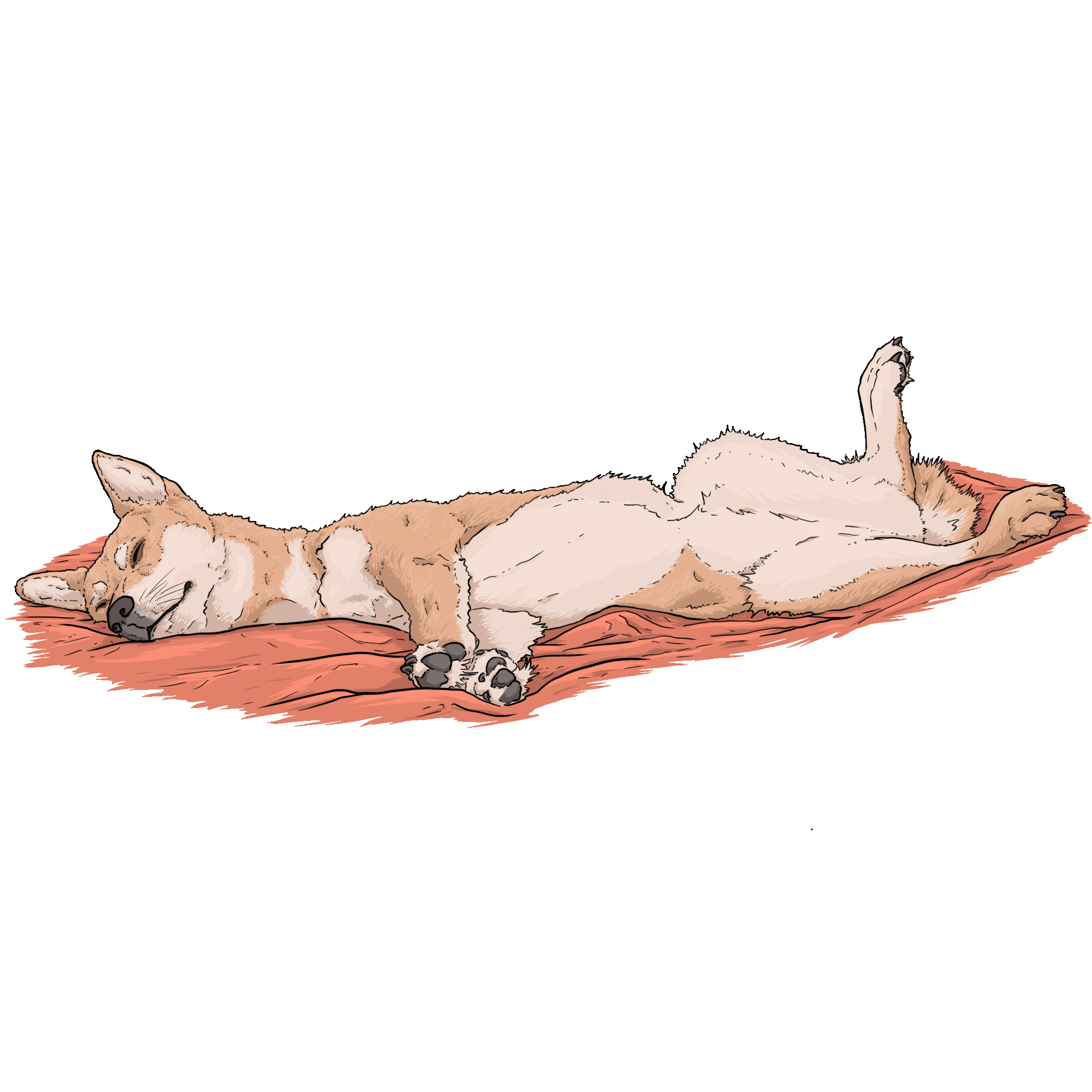 A sleeping dog dreaming of bones