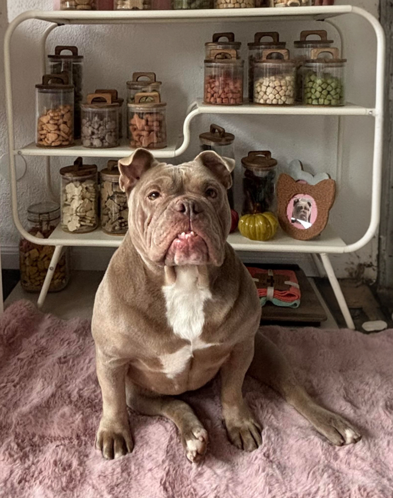 Writer: Georgie the Teefers