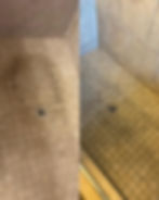 WhatsApp Image 2026-04-19 at 15.08.22