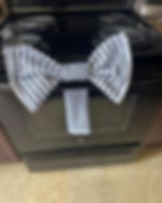 WhatsApp Image 2026-04-19 at 15.08.23 (1)