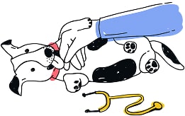 Illustration of dog getting pets from the vet
