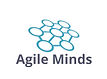 Agile Minds.png