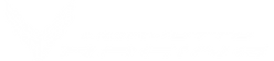 CorvetteRacing_WHITE.png