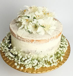 2021-09-25 Luciana Almeida ASTROMELIAS