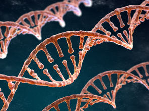 Tracking Biological Age Instead of Just Chronological Age