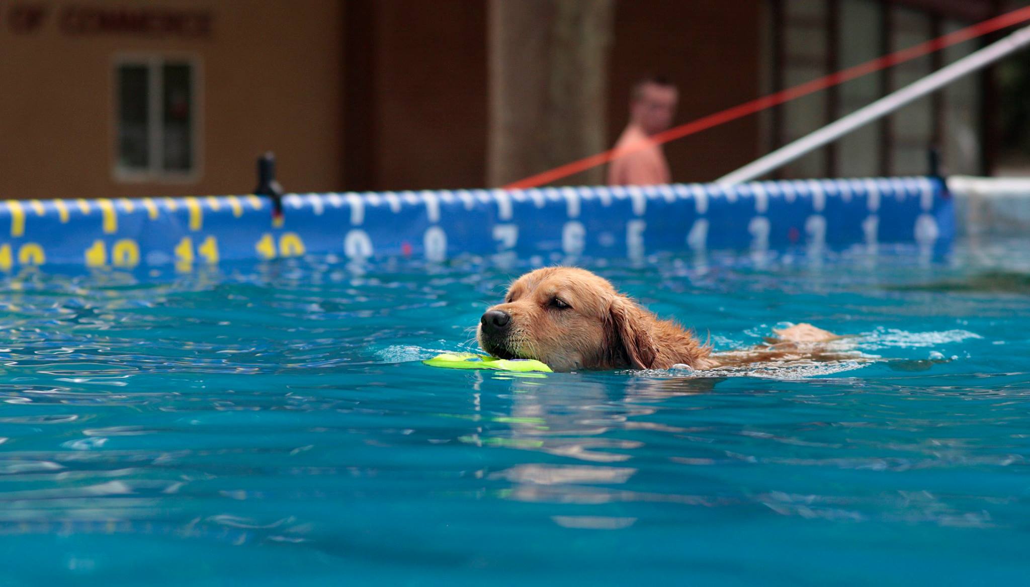 The day went to the dogs!! photo 6