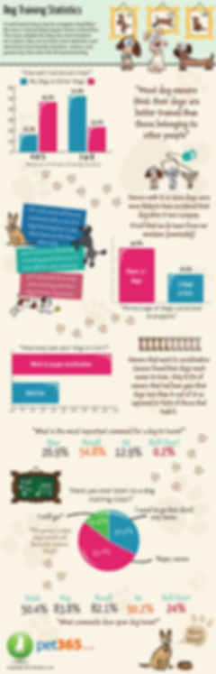dog training statistics