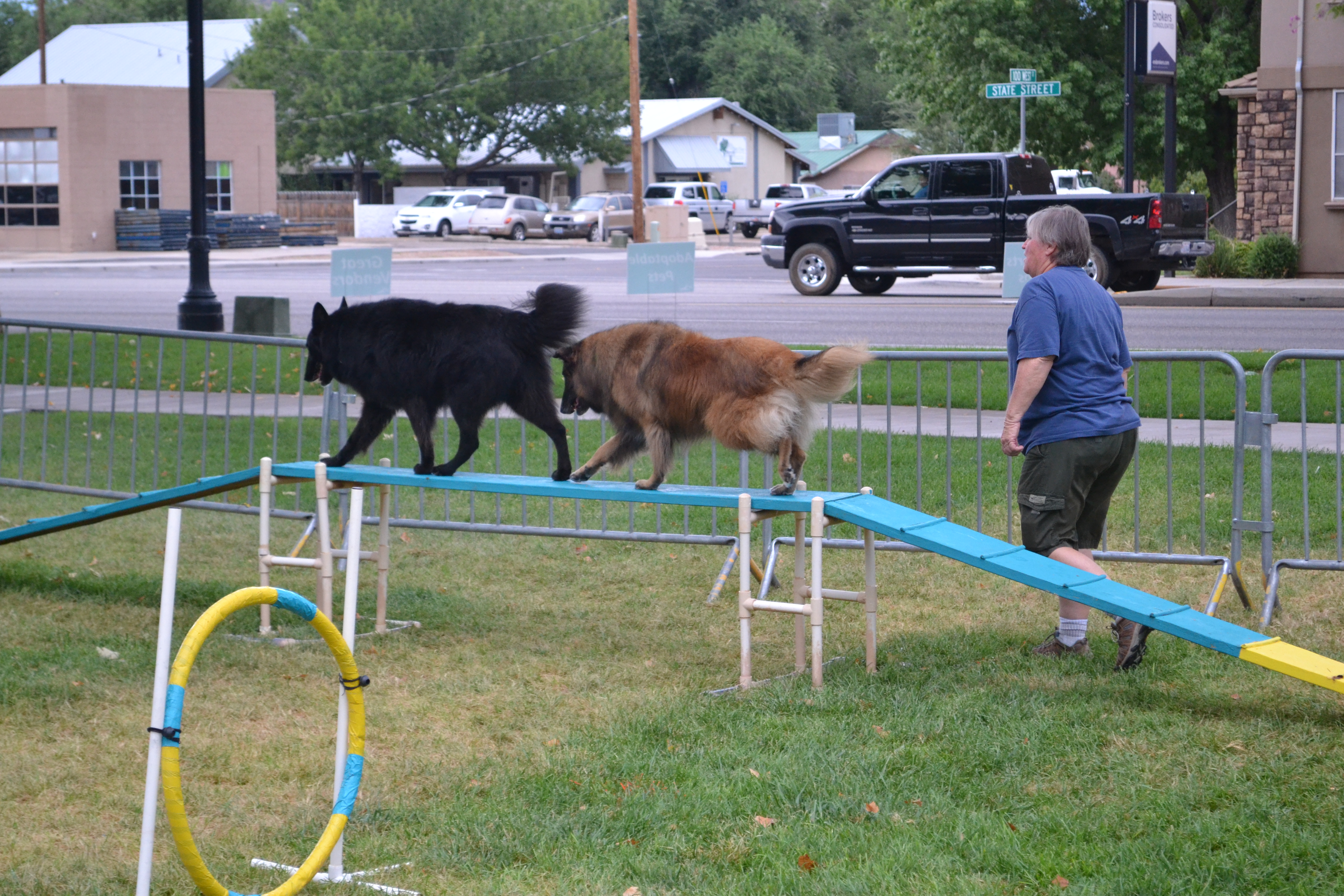 The day went to the dogs!! photo 7