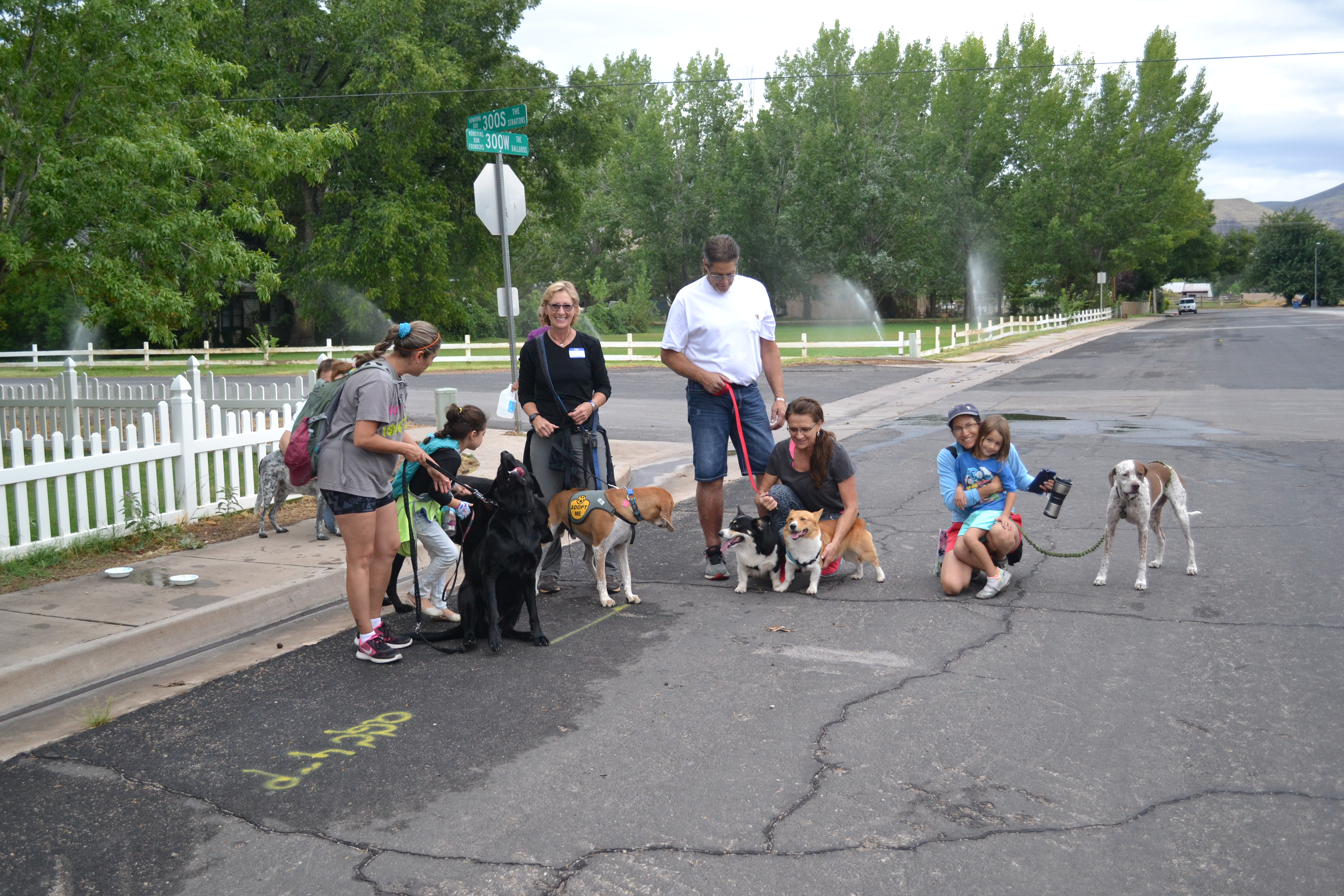 The day went to the dogs!! photo 4