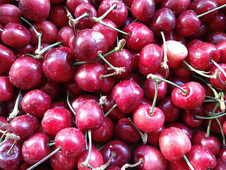 180593766_228302122388604_53543213167471