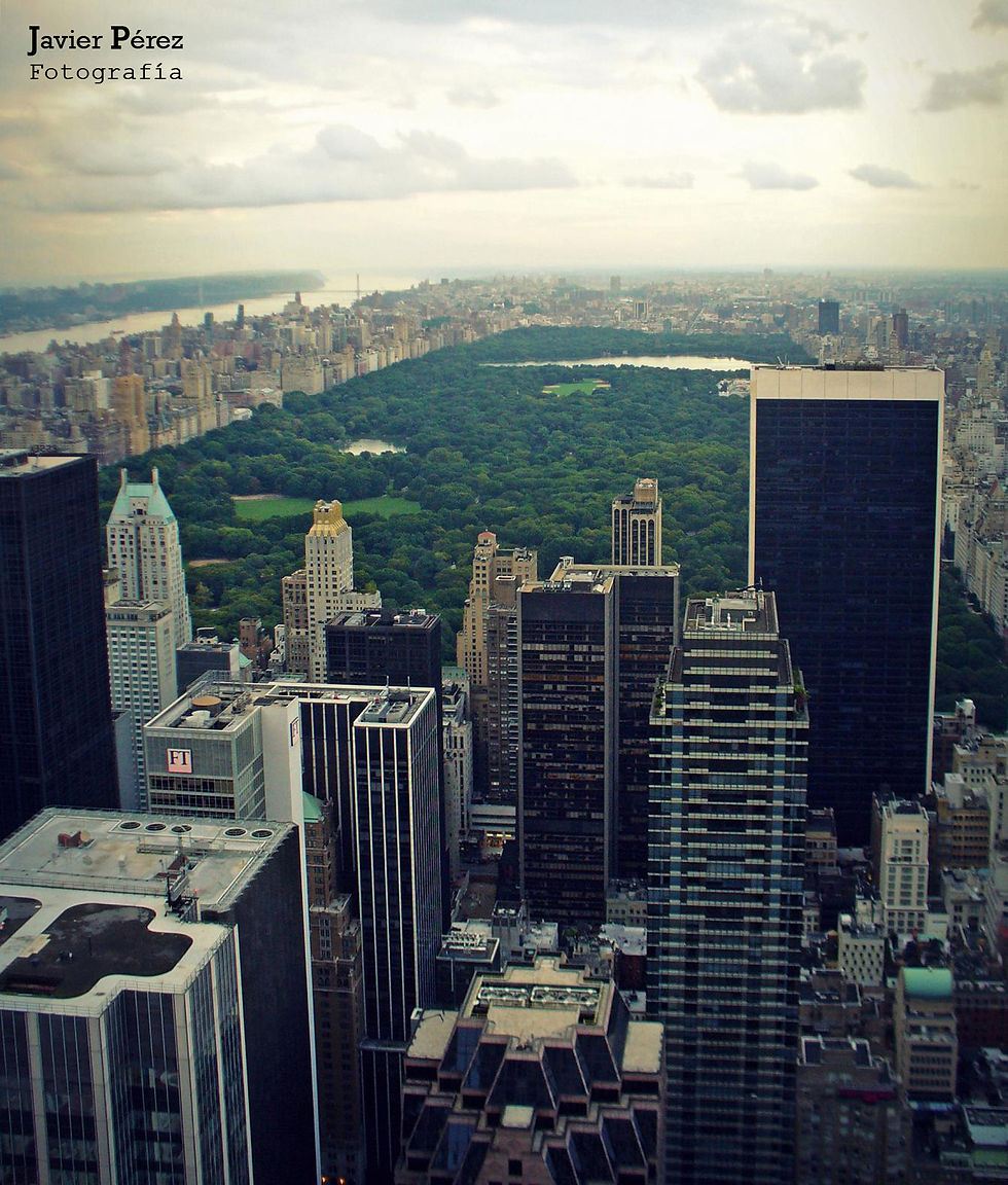 Central Park (1)