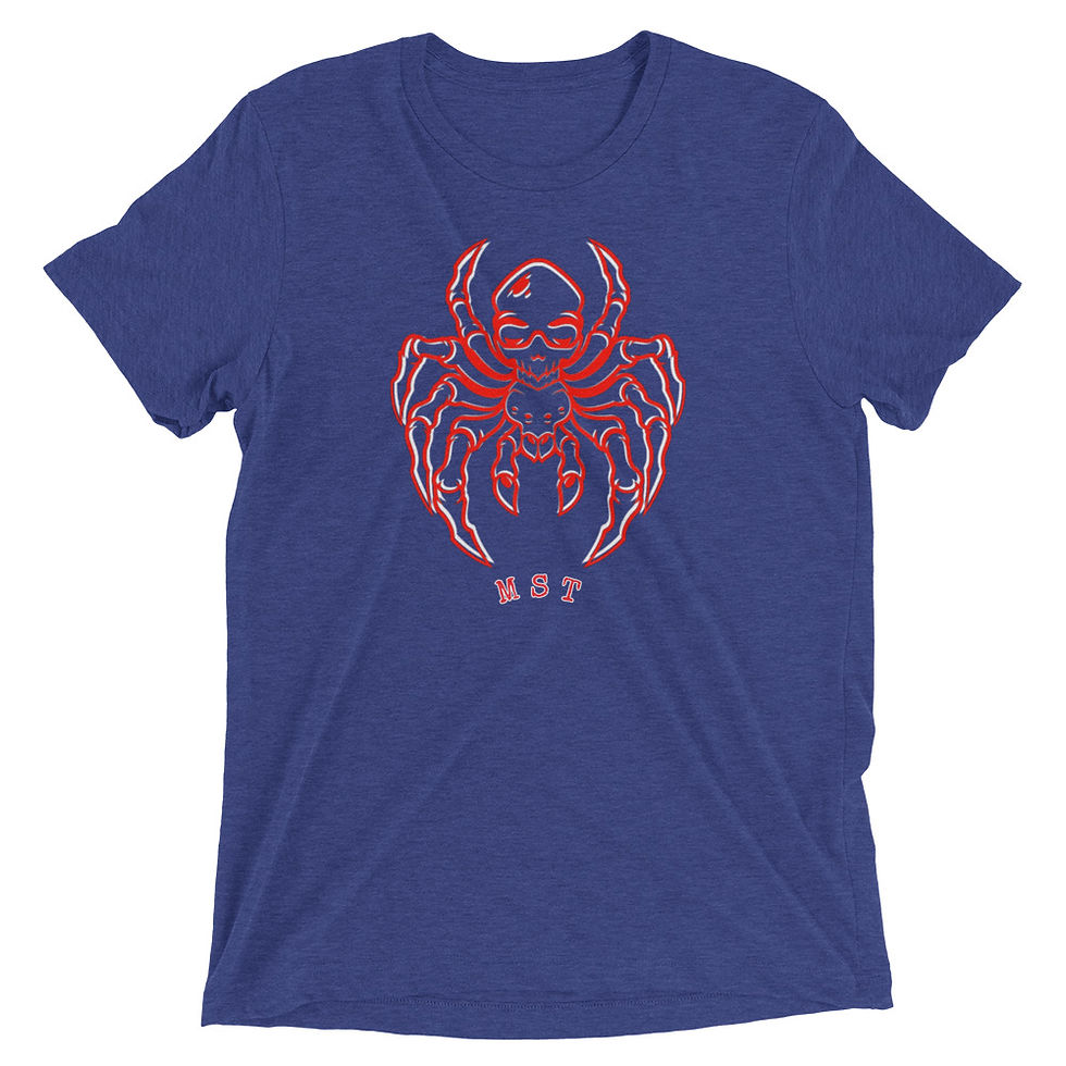 Thumbnail: SPIDER SKULL t-shirt