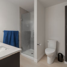 Main Bath Shower After.jpg