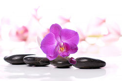 hot-stone