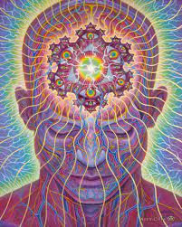 Achara Rasayana ~ Ayurvedic Behavioral Medicine for the Mind, Body and Soul