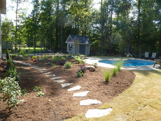 pool landscaping.JPG