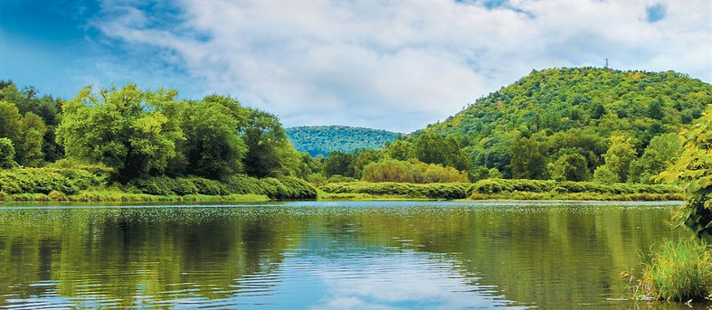 An image of the Delaware River in Hancock, NY.
