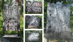 collage_clydes_work_edited