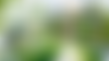 Green Buildings, Greener Coatings: How Sustainability is Transforming the Coatings Industry