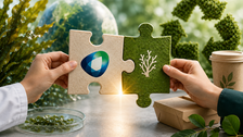 Amcor Partners with Kelpi to Develop Next-Generation Barrier Solutions for Fiber Packaging