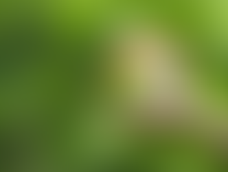 Bipartisan Bill Reintroduced to Promote IAQ and Ventilation Upgrades in U.S. Buildings