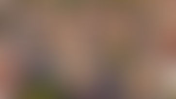 Construction Breakthrough Offers Hope Amid Australia’s Housing Crisis