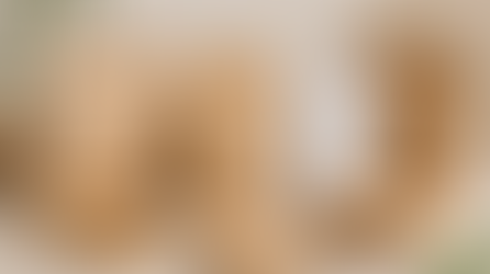 Henkel Strengthens Paper Packaging with Expanded Barrier and Heat-Seal Coatings Portfolio